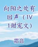 向阳之处有回声（1V1甜宠文）