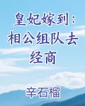皇妃嫁到：相公组队去经商