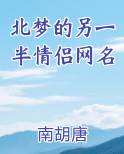 北梦的另一半情侣网名小说排行榜