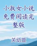 小淑女小说免费阅读完整版