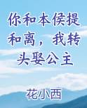 你和本侯提和离，我转头娶公主小说短剧