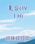 复合(1V1 H)