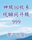 神级回收系统瞬间升级999