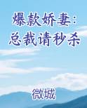 爆款娇妻：总裁请秒杀