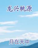 龙兴桃源
