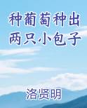 种葡萄种出两只小包子
