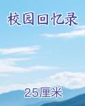 校园回忆录小说推荐