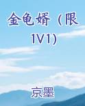 金龟婿免费阅读