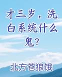 才三岁洗白系统什么鬼笔趣阁