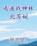 逍遥战神林北苏婉全文阅读