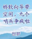 娇软向导带空间，九个哨兵争疯啦