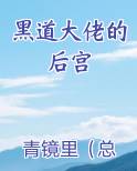 黑道大佬的后宫全文阅读
