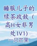 睡服儿子的绿茶政敌（高H女非男处1V1）