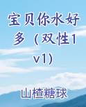 宝贝你水好多（双性1v1）