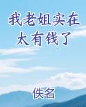 我老姐实在太有钱了