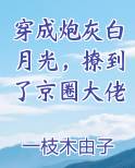 穿成炮灰白月光，撩到了京圈大佬