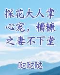 探花大人掌心宠，糟糠之妻不下堂免费小说