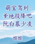 萌宝驾到：爹地投降吧阮白慕少凌