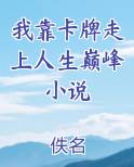 我靠卡牌走上人生巅峰小说