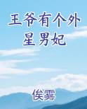 王爷有个外星男妃