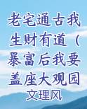 老宅通古我生财有道（暴富后我要盖座大观园）