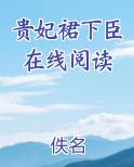 贵妃裙下臣在线阅读