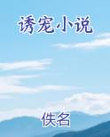 诱宠小说