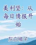 美利坚：从每日情报开始电子书