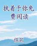执着于你免费阅读