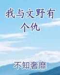 我与文野有个仇