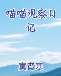 喵喵观察日记