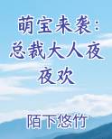 萌宝来袭：总裁大人夜夜欢
