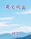 爽文双宜