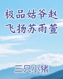 极品姑爷赵飞扬苏雨萱