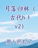 月落归林（古代h 1v2）
