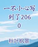 一不小心写到了2060笔趣阁免费阅读